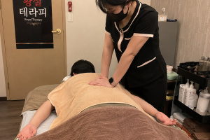 혼다 스웨디시